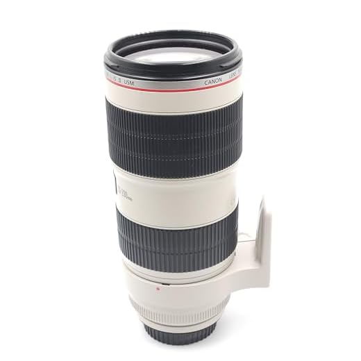 Canon EF 70-200mm f/2.8L Telephoto Lens