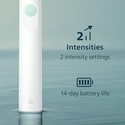 Philips SONICARE 2100 Power Rechargeable electric toothbrush White Mint HX3641/04