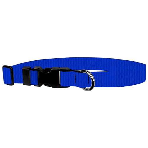 Image of Dog Collar - Colored Adjustable Pet Collars, 1 Inch Wide, Medium, Royal Blue