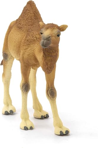 SCHLEICH Wild Life Arabian Camel Dromedary Toy Figurine for Kids Ages 3-8 with 1 Hump