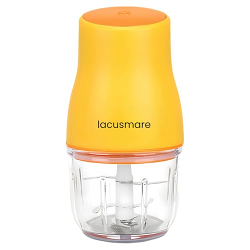 LacusMare Mini Chopper, 300ml Glass Bowl, 6 Durable Stainless Steel Blades, Dishwasher Safe Parts, Anti-Slip Base, 250W Motor, Mini Food Processors & Choppers for Vegetables, Garlic, Onion, Baby Food