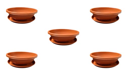 Naturally Green Bonsai Pot Planter/Flat Pot Planter for Greens/Flat Pot Planter for Small Plants Flat Pot Planter for Seedling Starter with Bottom Tray – Multicolor (12" Pack of 5) (B095WY4191) Amazon Price History, Amazon Price Tracker
