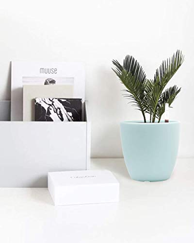 SAROSORA 7" Self Watering Planter with Water Level Indicator Modern Decorative Planter Pot for African Violets Flowers Herbs Succulents (Iec Blue x 3)