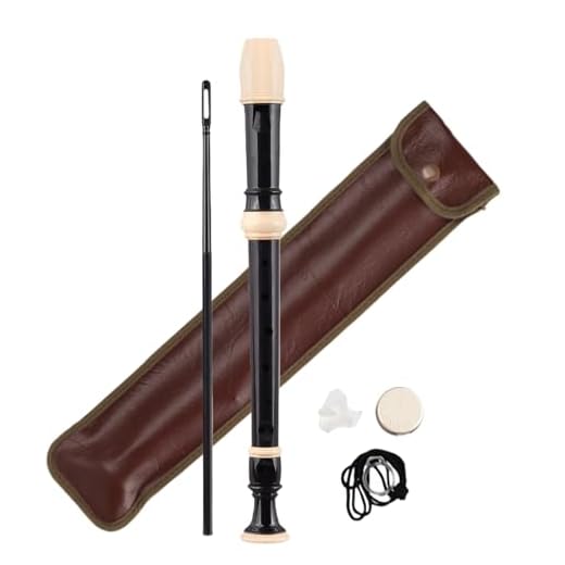 GOEDCH Flauta dulce estilo barroco con tecla C de resina ABS: mango barroco con 8 agujeros con barra de limpieza, bálsamo labial y bolsa de almacenamiento de cuero, flauta dulce soprano para