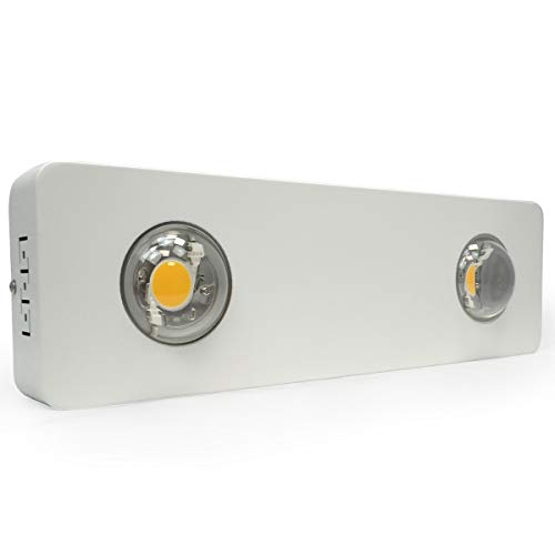 Panel LED COB CREE 2 x 100 W  Agrolite LED
