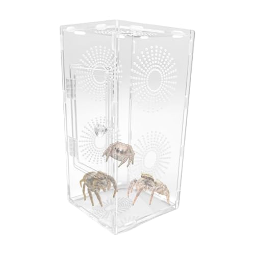 スプリングスパイダー - 爬虫類摂食ボックス適切な、ジャンプクモとカエルのためのアクリル - 安全な飼料アクセス大人と子供向けの簡単な観察