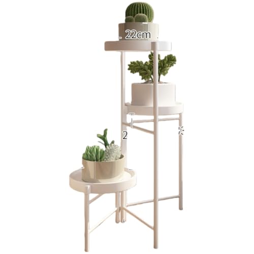 AOUTNAؔX^h t[X^h t[VFt t[e[u 3i Ki^ AؔbN K[fbN Aؔx[X gݗĊȒP 肵AbN ϗtA |bgX^h rO[  oRj[ x_[bN K[