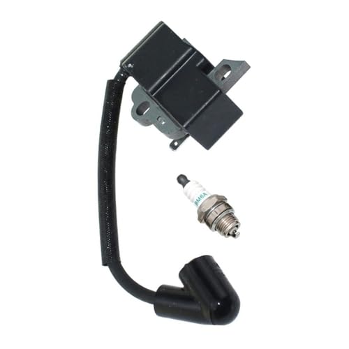 Bobine d'allumage de rechange pour moteurs PS-350C et CL430