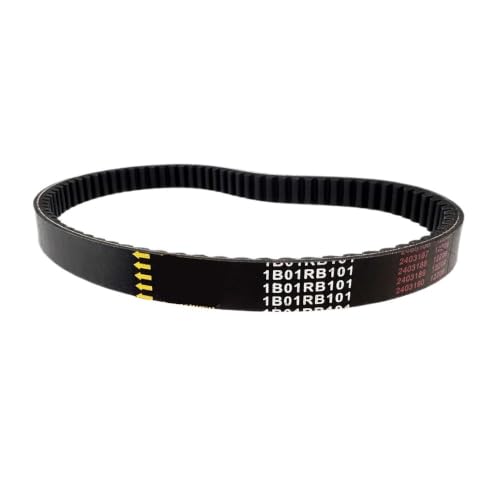 Courroie d'entraînement pour ATV Quadlander 250 300 et Blade 250 325 1B01RB101