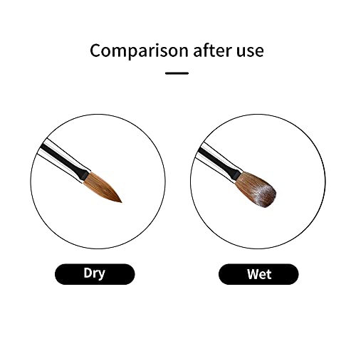 Golden Maple Acrylic Nail Brush 100% Pure Kolinsky Hair Size 8,Oval Crimped Pressed Shaped Acrylic Nail Brushes,Blue Wood Handle Acrylic Powder Brush Set Professional Manicure For Diy Home Salon #TOP3