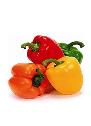 Golden Hills Farm® (AVG 100-1000) seeds Capsicum Green (Mixed Colour) Seeds (B085YF7CBN) Amazon Price History, Amazon Price Tracker