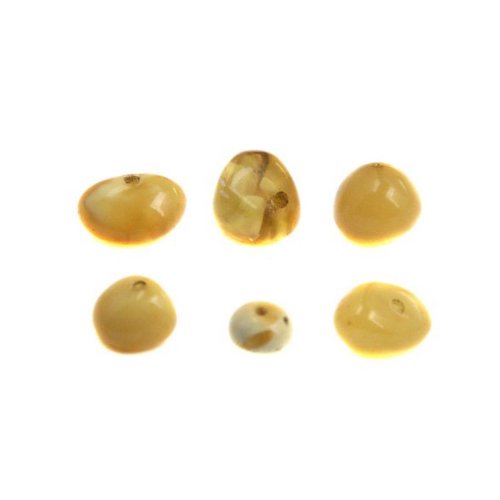 Butterscotch Amber Drilled Beads Random Shape Various Colors