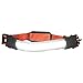 Lumen Logic Rechargeable LED Headlamp (300 Lumens)