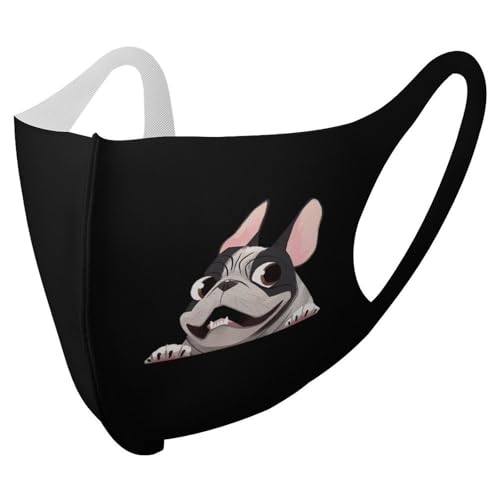  pO  Aj z}XN  X|[c J[}XN |GXe JԂg Lk _炩 ʋC K y z₷ 􂦂  ho UVJbg lC  ʋ ʊw jp 1