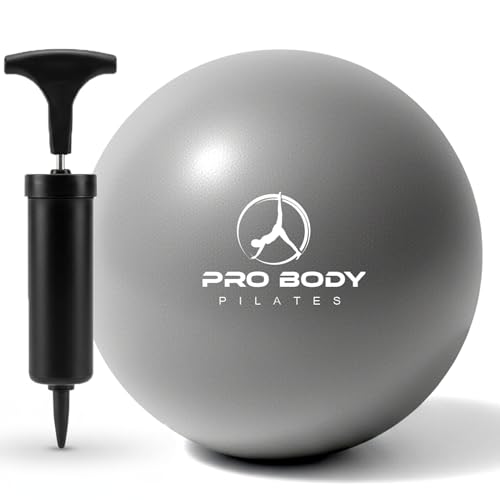ProBody Pilates Small Exercise Ball with Pump - 9 Inch Workout Ball for Stability, Barre, Yoga, Core & Physical Therapy, Home Gym & Office Use (Silver)