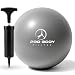 Mini Exercise Ball with Pump - 9 Inch Bender Ball for Stability, Barre, Pilates, Yoga, Core Training and Physical Therapy (Silver)