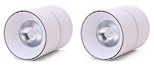 Fos Led Surface Light 30W Cob, 3300 Lumens – 360 Degree Adjustable – Wall/Ceiling Mountable (Neutral White 4000K | Pack Of 2)