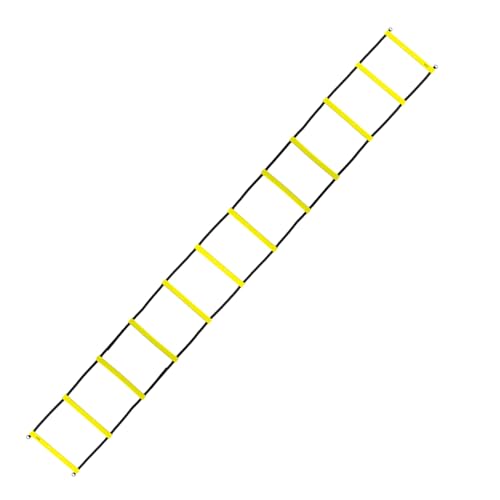 HMS Premium Coordination Ladder 6 m