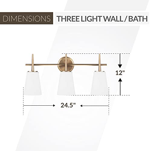 Sea Gull Lighting Driscoll Wall/Bath Vanity Style Fixture, Three - Light, Satin Bronze Finish #TOP2