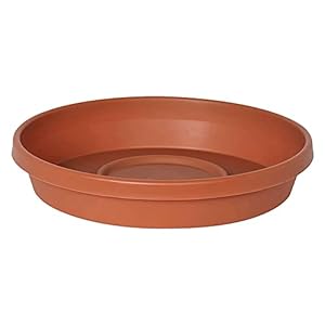Image of Bloem Terra Plant Saucer Tray for Planters 10-14" Terra Cotta