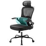 Aevoriax N56 Ergonomic Office Chair - Dual Backrest Design, Adjustable Lumbar Support, Thick Padded Seat, Flip-Up Armrests, Tilt Function - Ideal for Home Office, Gaming & Conference, Black