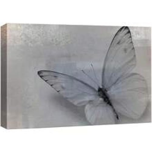 Art animalier papillon grand format pour réveiller un mur blanc triste