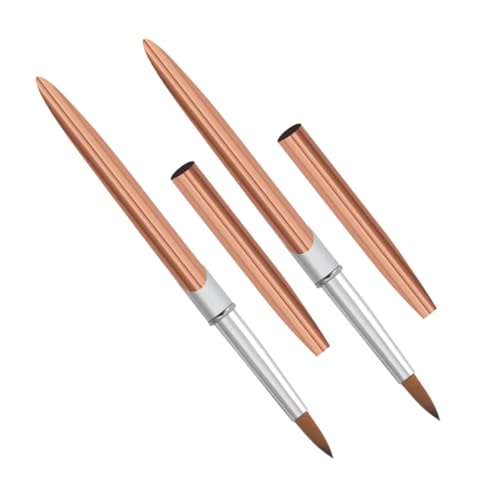 SHERCHPRY 2Pcs Nail Art Striping Brush Tool Ultrafine Detailing Brushes with Metal Rods for Intricate Nail Designs Lightweight and Portable for Home Salon Use
