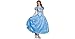 Disney Disguise Women's Cinderella Movie Adult Prestige Costume