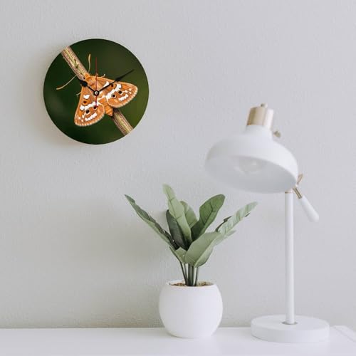 Horloge murale sans échelle pour éliminer le stress du temps avec élégance