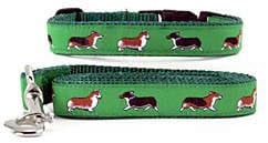 Animal Den Corgi Collar & Leash, Bright and Colorful