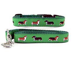 Animal Den Corgi Collar & Leash, Bright and Colorful
