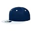 Navy/White