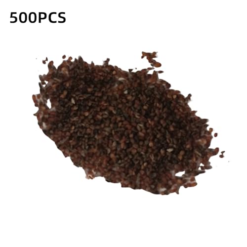 Luojuny 500 pcs graines de tubéreuse graines de tubéreuse pour jardinière patio conteneur plantation extereure Jaune – vue 4