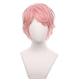 FENNIDICE Itsuki Shu Cosplay Wig Hair Role Play Halloween Costume Party Wigs + Wig Cap
