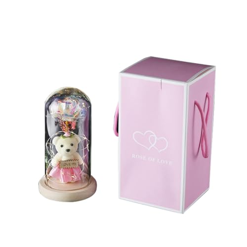 Qusedwey Regalo Floreale con Rosa Infinita in Cupola di Vetro con Stringa di Luci A LED Rosa di