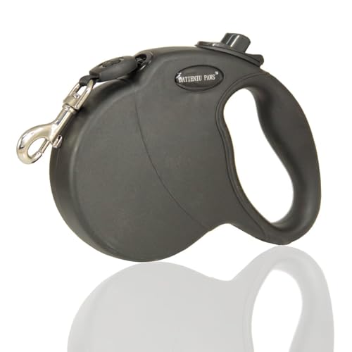 Best Portable Dog Leash For Large Dogs (2026)