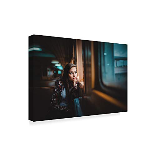 Trademark Fine Art 1X06523-C1219GG Dreams on My Window by Kaan Altindal Fine Art, 12x19-Inch, Multicolor