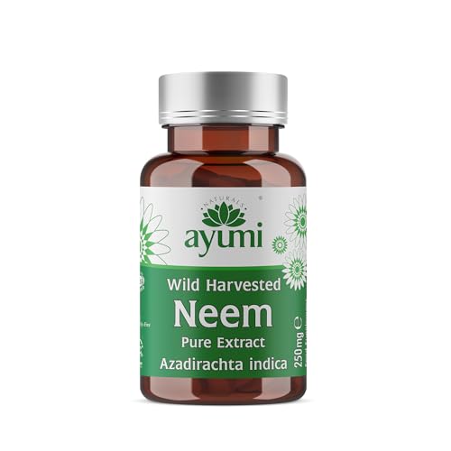 Ayumi Pure Neem Capsules, 60 Caps | Gut Health Supplements for Gut Cleanse | Vegan Neem Capsules to Combat Acne | DetoxCapsules to Aid Digestion & Immunity | Gut Repair for Men & Women | 500 mg