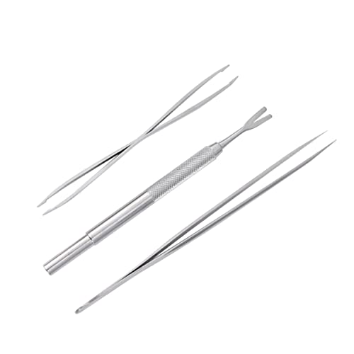 Ipetboom 6 Peças 1 Ferramenta De Remoção De Animais De Estimação Pinças Pontiagudas Pinças De Precis