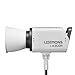Godox Litemons LA300R RGB LED Monolight (2-Light Kit)