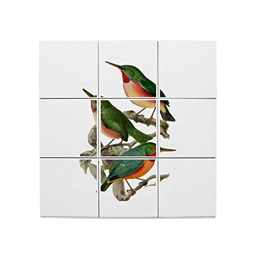 Carreaux céramique décoratifs 20x20 cm lot de 9 oiseaux style illustration ancienne