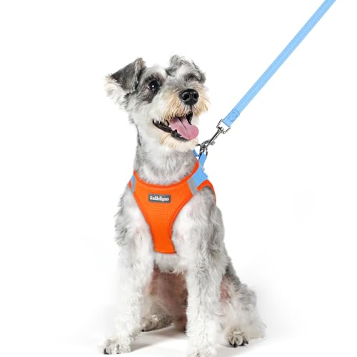 Image of rabbitgoo Dog Harness Medium Sized and Leash Set, Step-in Puppy Pet Vest