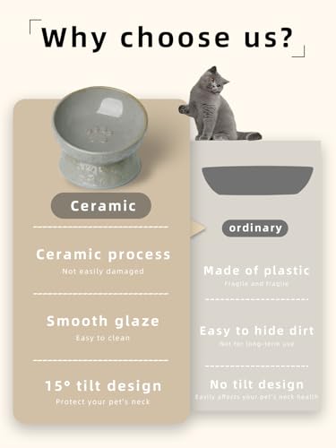 Elevated Ceramic Cat Food Bowl, 15° Tilted Raised Cat Food Bowl, Stress Free Elevated Food Bowls for Flat Faced Cats, Small Dogs, Protect Pet's Spine, 5 oz (Vintage White) - Image 5