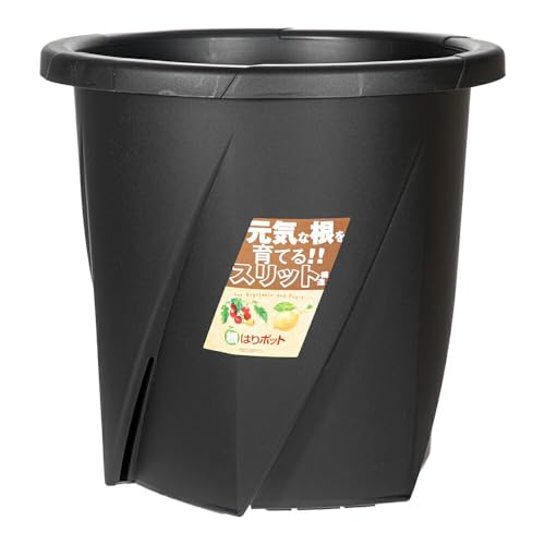 avX`bN Xbg ͂|bg 35^ ubN ؂ƉʎɎg^Xbg|bg