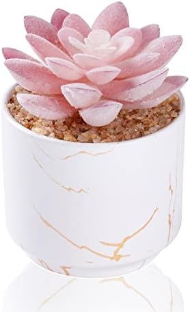 ZENIDA Succulent Artificial Plants,Cute Fake Succulents in 1 White Ceramic Pots,Small Fake Plants for Office,Table,Desk,Bathroom, Bedroom,Aesthetic Room Shelves Decor,Desk Decorations for Women Office