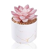 ZENIDA Succulent Artificial Plants,Cute Fake Succulents in 1 White Ceramic Pots,Small Fake Plants for Office,Table,Desk,Bathroom, Bedroom,Aesthetic Room Shelves Decor,Desk Decorations for Women Office