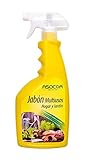 ASOCOA Jabón Potásico Multiusos 600 ml. Solución de Sales potásicas.
