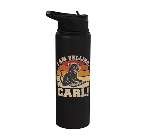 I Am Yelling Carl Funny Cat Meme Sunset Vintage Fan Art Stainless Steel Insulated Water Bottle