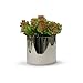 WGVI Silver Ceramic Cylinder Vase Width 5.5