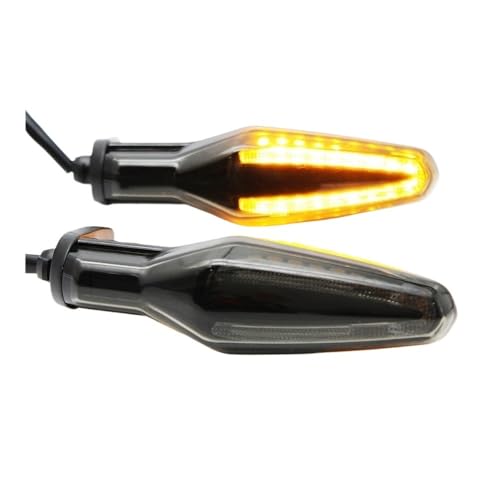 Clignotants moto avant gauche droit pour CE04 et S1000XR